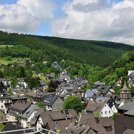 Beautiful Apartment In Willingen With Balcony Exteriör bild